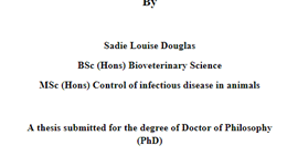 Management and nutritional strategies to improve the postnatal performance of light weight pigs